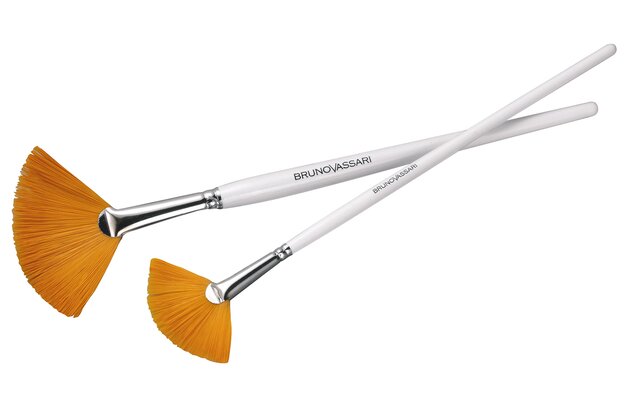 fan brushes.jpg